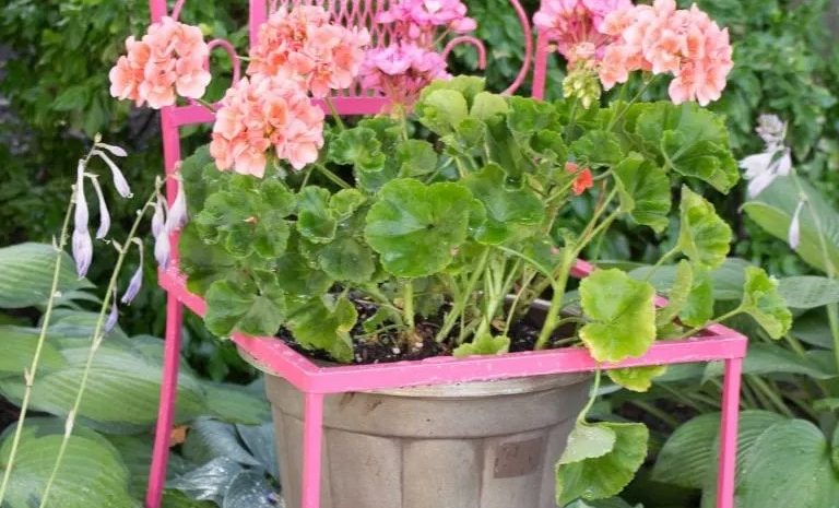 The Start-Up Resource Blog - 15 Easy to Make and Sell Upcycled Planters